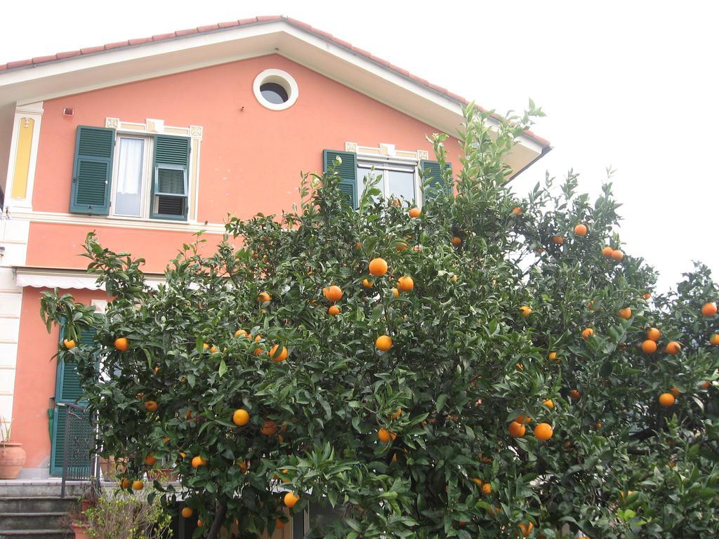 Le Clementine B&B Camogli Exteriör bild