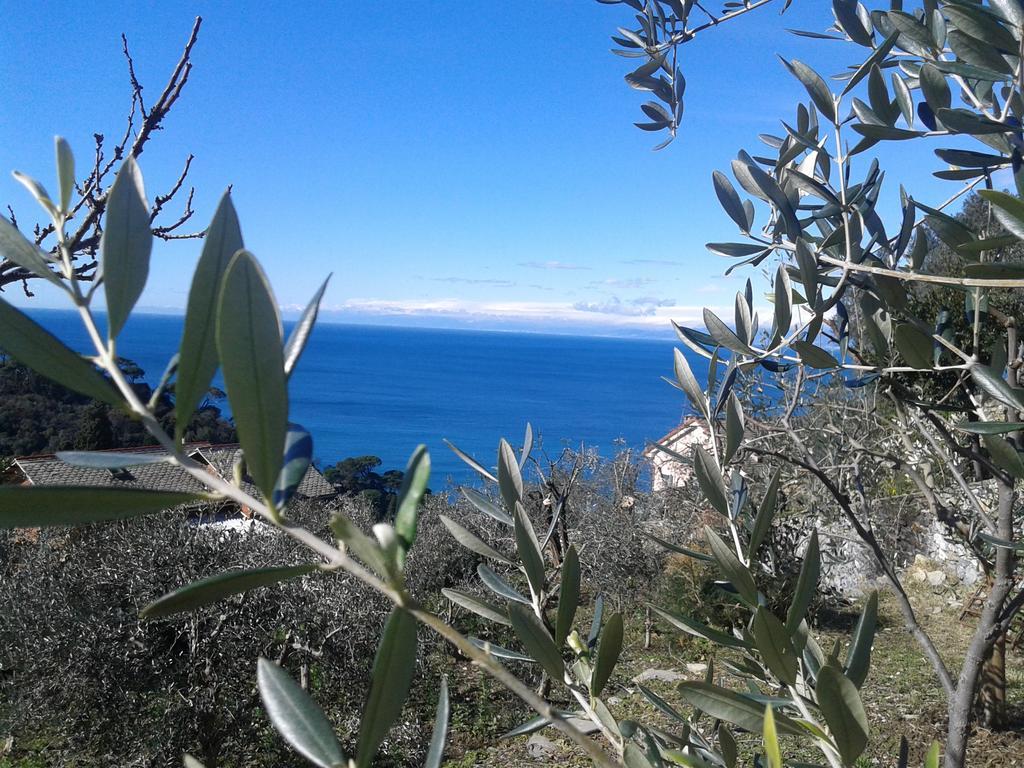 Le Clementine B&B Camogli Exteriör bild