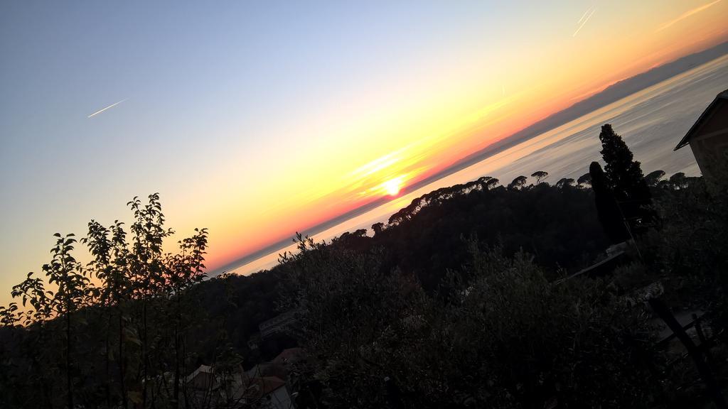 Le Clementine B&B Camogli Exteriör bild