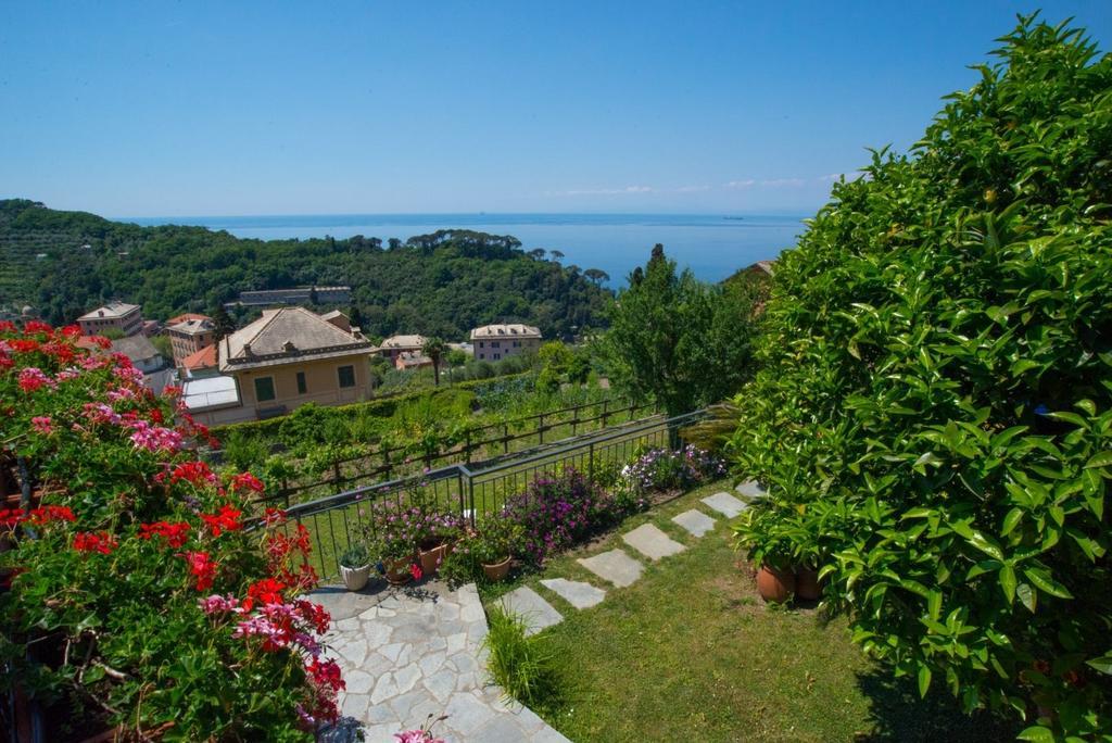 Le Clementine B&B Camogli Exteriör bild