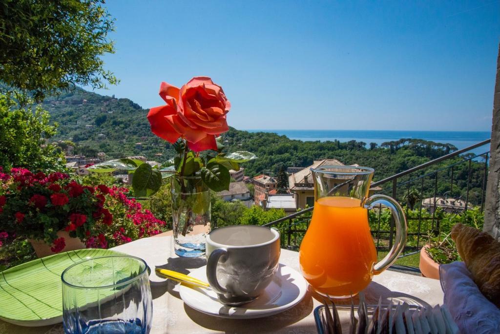 Le Clementine B&B Camogli Exteriör bild