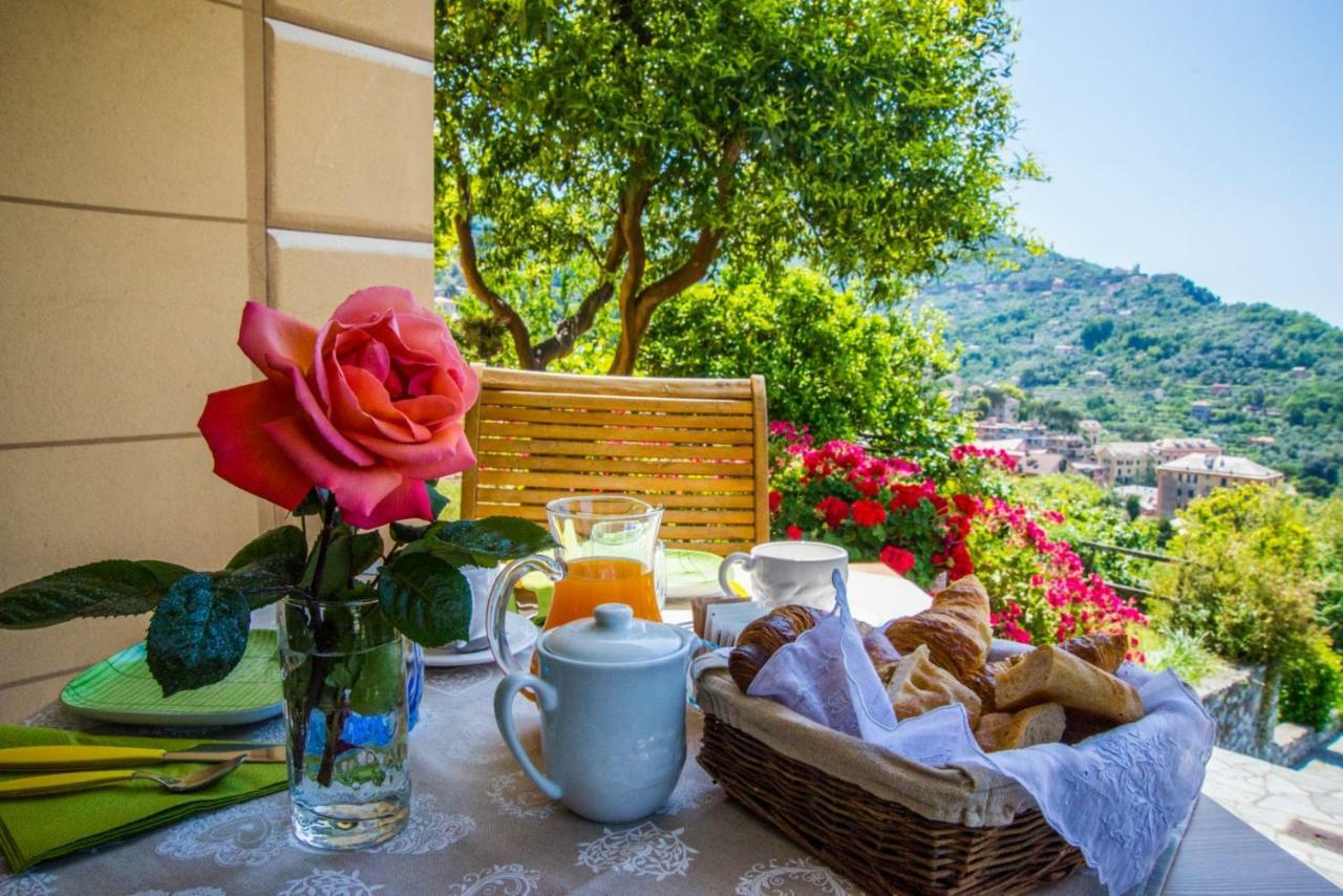 Le Clementine B&B Camogli Exteriör bild